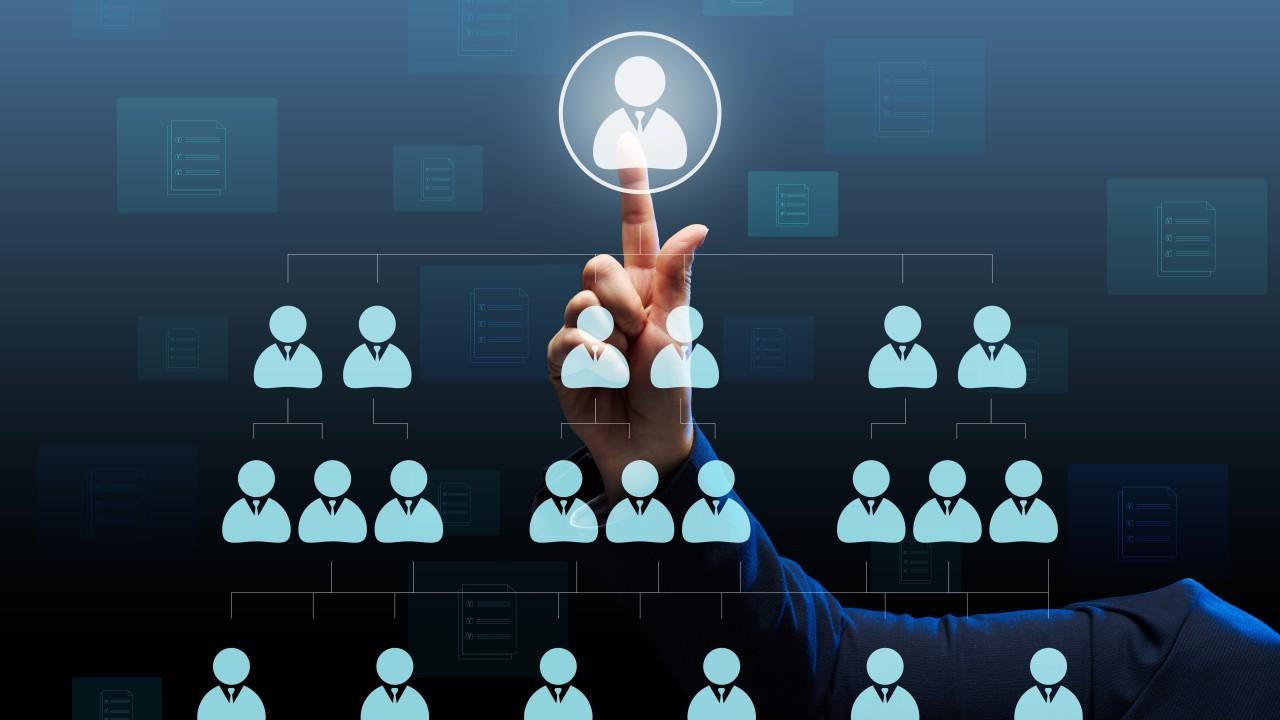 Executive Search